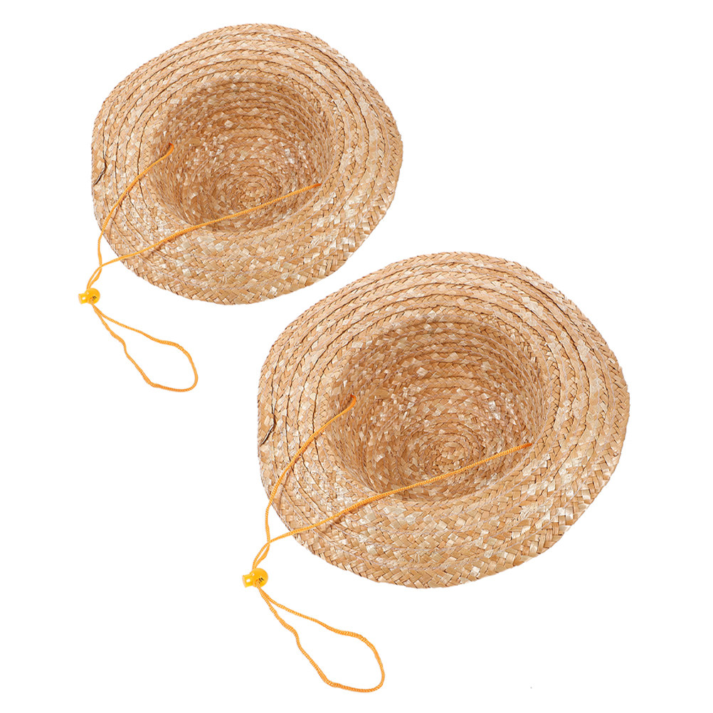 2Pcs Kids Sun Hat Natural Stra - Sun Hat Wide Brim review and price